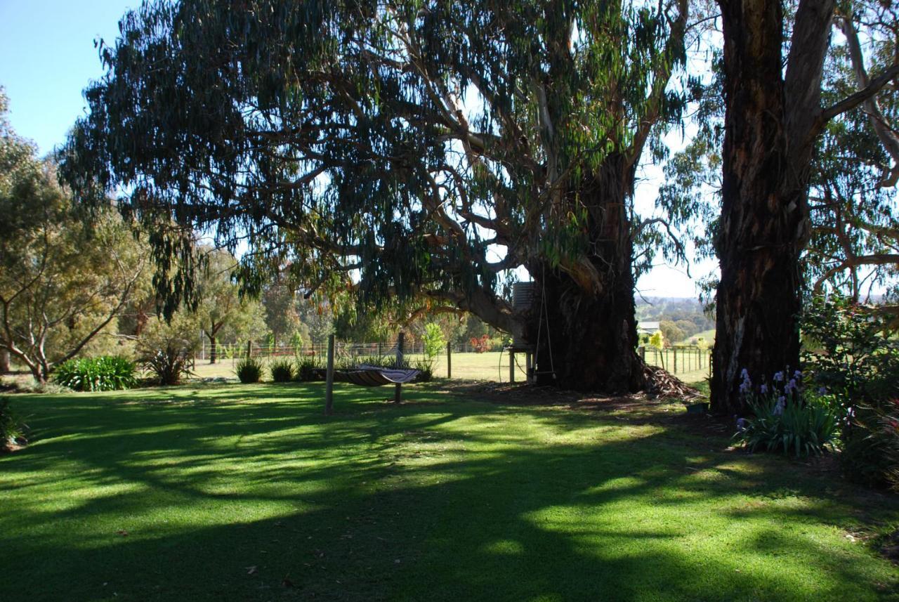 Bluegum Ridge Cottages Merrijig Room photo
